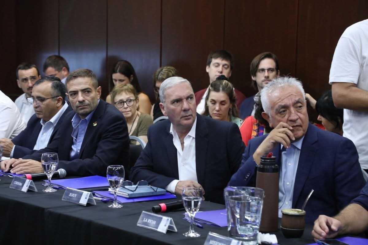 Jujuy presente en el primer encuentro 2026 del Consejo Federal de Salud ...